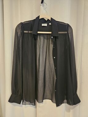 Aritzia Button Down